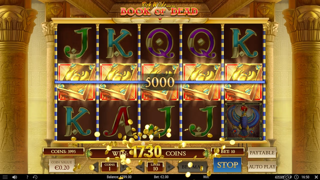 Book of Dead maximum win screen — 5,000× bet payout during free spins with expanding symbol at Le Coup online casino